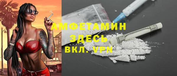 apvp Богородицк