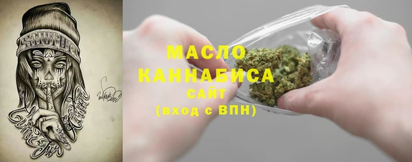 мдпв Богородск