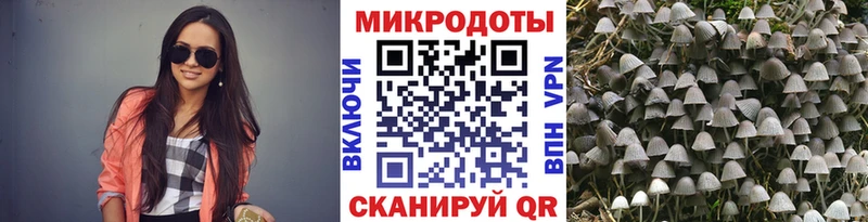 магазин наркотиков Дегтярск Псилоцибиновые грибы Psilocybine cubensis